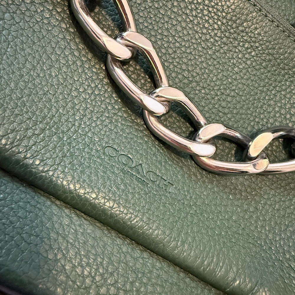 Coach Holden Crossbody Leather with Chain - Everglade/Silver - Picture 3 of 8